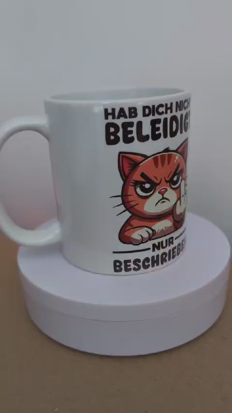 Kaffeetasse Katze habe dich nicht Beleidigt nur Beschrieben Motiv 53